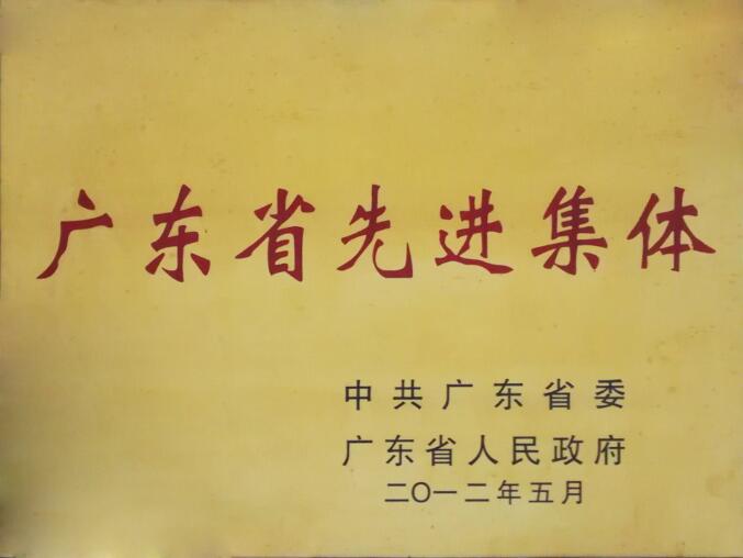 廣東省先進集體